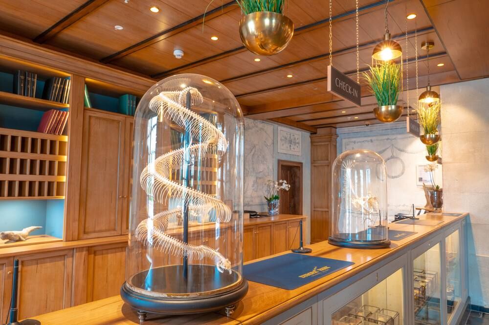 4-Sterne Superior Erlebnishotel Krønasår, Europa-Park Erlebnis-Resort - Rust - Recepce