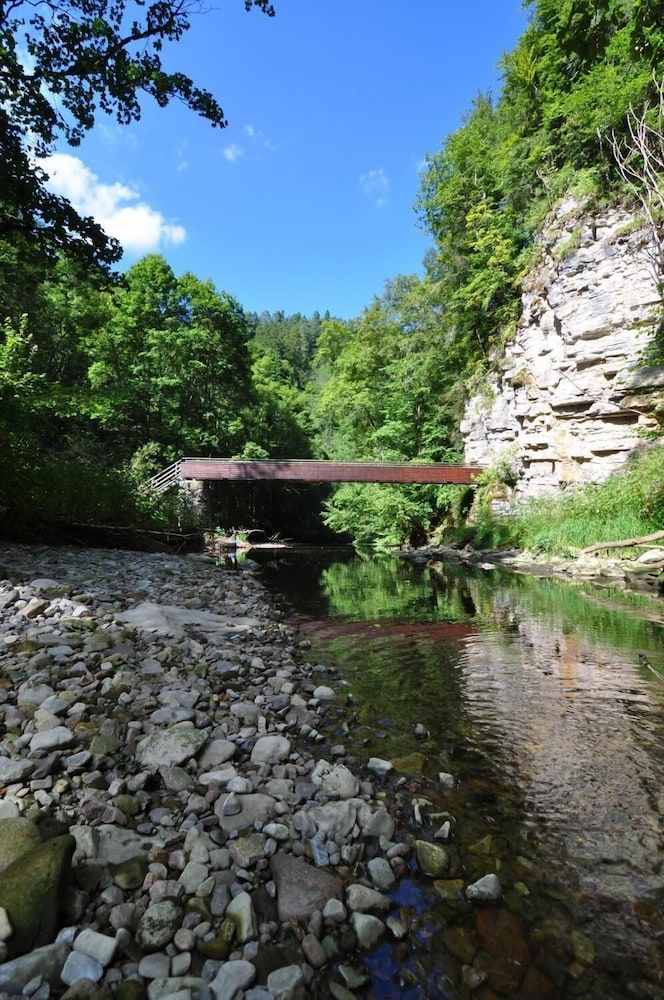 Gasthof Zur Burg - Wutach - Außenansicht