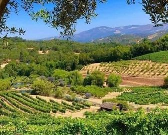 WineCountry Retreat with Casita Bocce & Sunset Views - Glen Ellen - Außenansicht