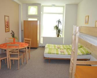 Hostel Decin - Děčín