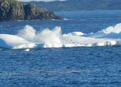 The Viking Vacation Home is your port of Call at Crow Head on Twillingate Island - Twillingate - Beach