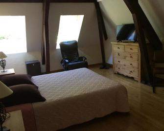 Les Irisynes - Chambéry - Chambre
