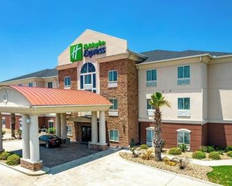 Holiday Inn Express Kenedy By IHG - Kenedy - Building