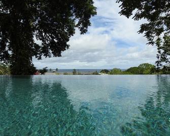 Casa La Mancha - your own private villa with infinity-edge swimming pool - Black Rock - Pool