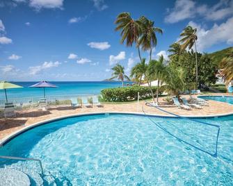 Very Romantic Secluded Beach Getaway in St. Thomas Island - Saint Thomas - Pool