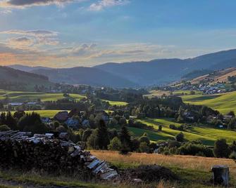 Schwarzwaldbauernhaus Bernau - Bernau im Schwarzwald - Außenansicht
