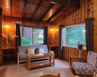 Fern River Resort - Felton - Living room