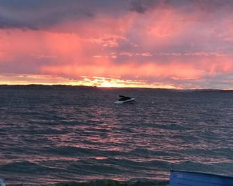 Camano Island Garden Cottage at Madrona Beach, the Island you can drive to! - Camano Island