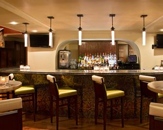 Hilton Palacio Del Rio - San Antonio - Bar