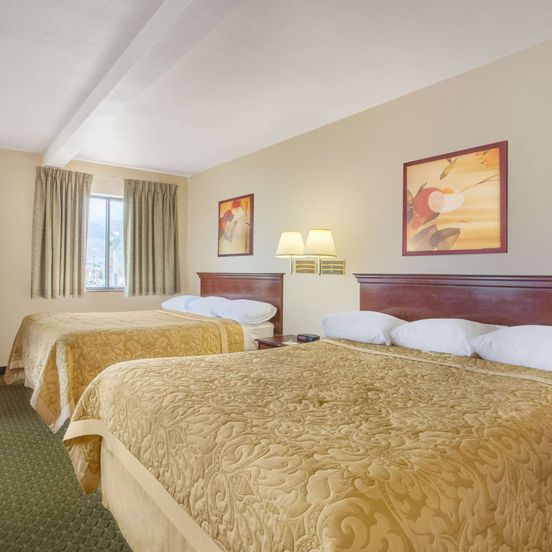 Bedroom view of Super 8 by Wyndham Butte MT