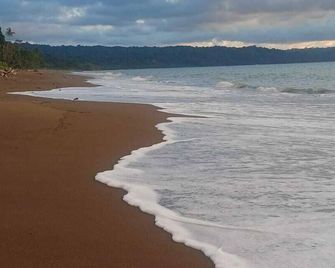 Ceiba Ganadito - Agujitas de Drake - Strand