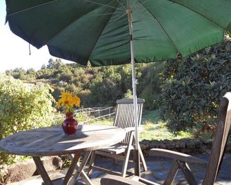 Finca Cueva Del Viento - Icod de los Vinos - Innenhof