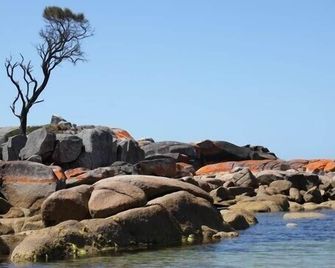 Bay Of Fires Seachange Ocean Frontage - Binalong Bay
