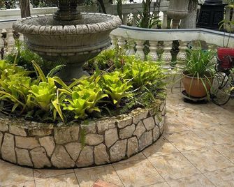 Rayon Hotel - Negril