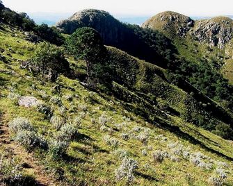 Lovely Tents with Balcony Overlooking River in Swaziland - Piggs Peak - Outdoors view