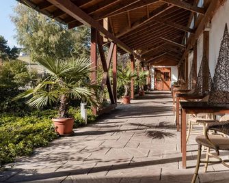 Landhaus Sonnenhof - Adenau - Patio