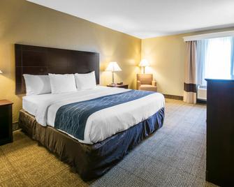 Comfort Inn and Suites DeLand - near University - De Land - Slaapkamer