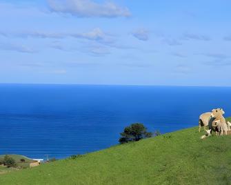 Saddle Hill Lodge - Mosgiel - Edificio