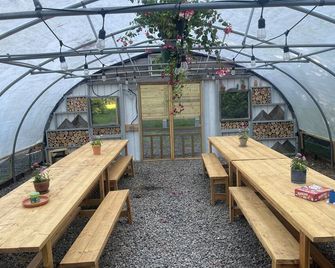 Dog friendly cabin on 13 beautiful acres - Pisgah Forest