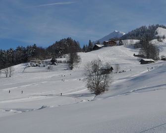 family-friendly apartment near Spiez and Interlaken, max. 4 persons - Aeschi bei Spiez - Property amenity