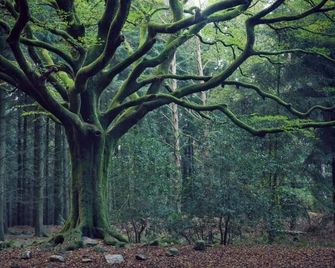 La pause tiny - Ploërmel - Buiten zicht