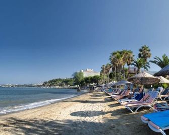 Eva Beach Hotel - Konakli - Strand