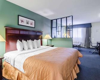 Rodeway Inn and Suites Williamsburg Central - Williamsburg - Bedroom
