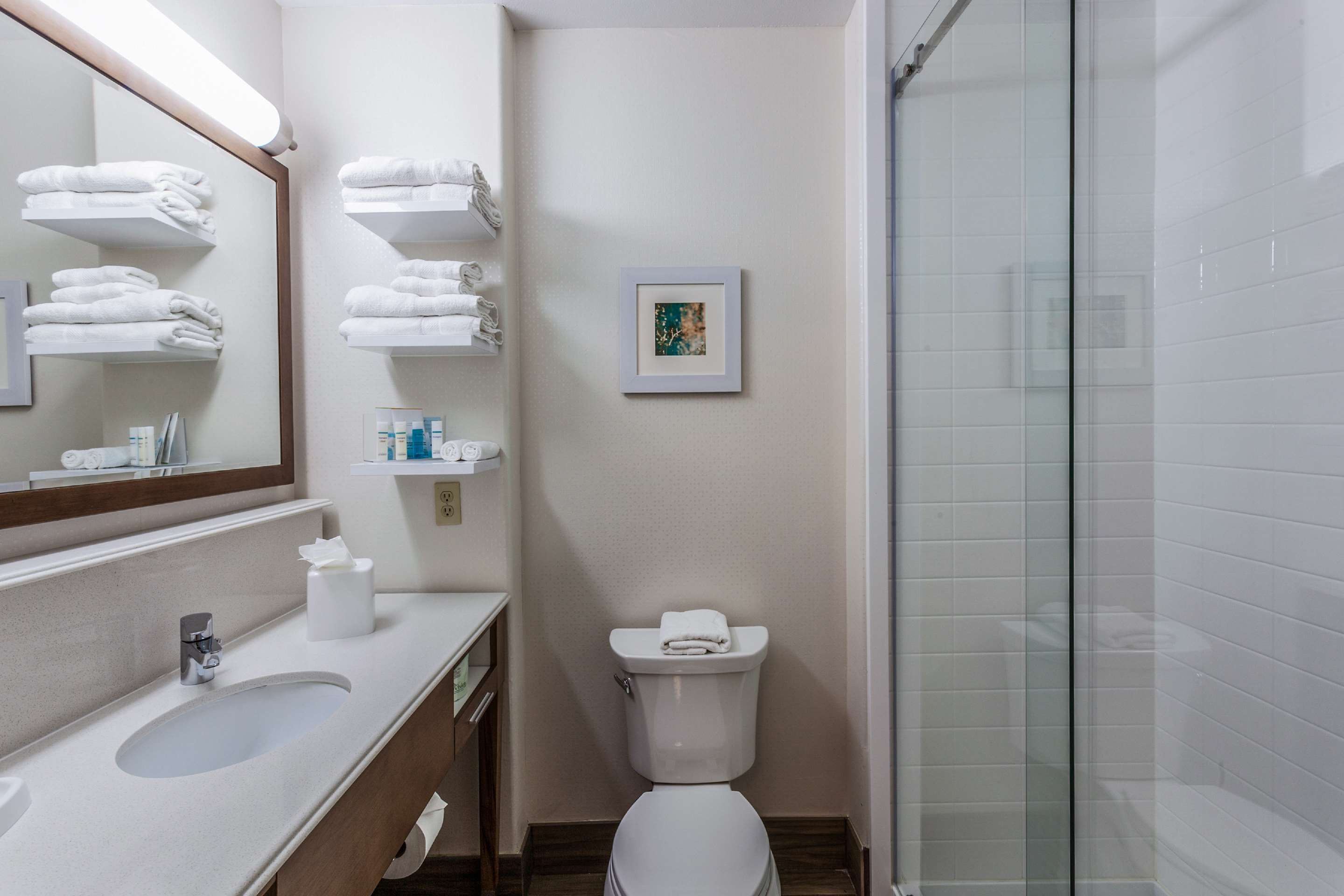 Bathroom view of Hampton Inn Colorado Springs-Airport