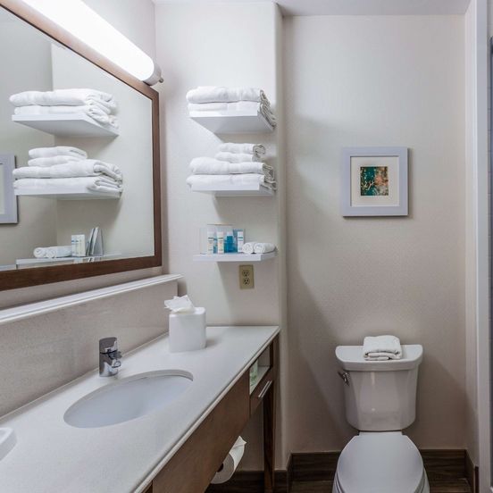 Bathroom view of Hampton Inn Colorado Springs-Airport