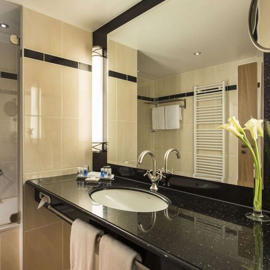 Bathroom view of Maritim Hotel & Internationales Congress Center Dresden