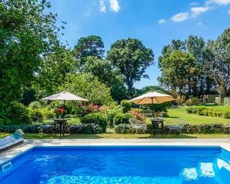 Cedar House Boutique B&B - כרייסטצ'רץ' - בריכה