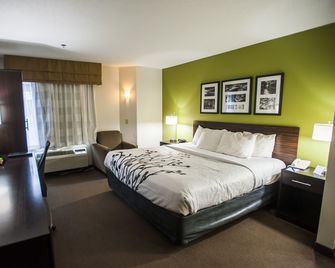Sleep Inn Midland - Bay City West - Midland - Habitación