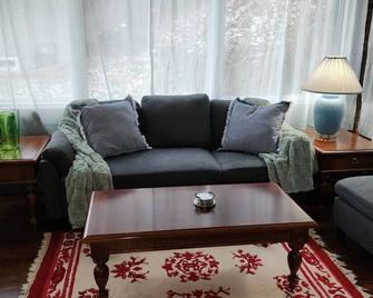 Spacious 3 bedroom house in charming Johnstown with WiFi - Johnstown