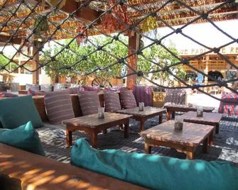 Star Of Dahab Hotel - Dahab - Lounge