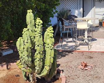 Sun City home with spacious indoor and outdoor living area. 1 55+ adult required - Sun City - Patio