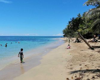 Hotel Boutique D Angelo - Manzanillo - Spiaggia
