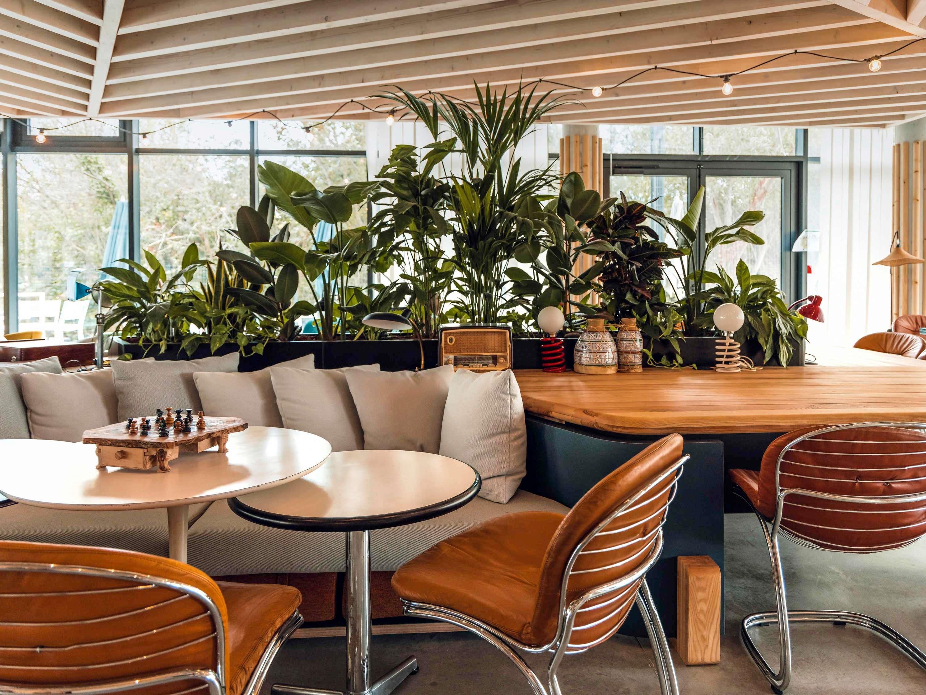 إيبيس بدجيت لا روتشيل سنتر جير