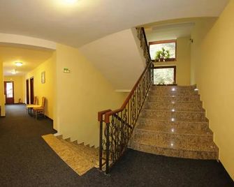 Hotel Paltinis - Borşa - Couloir