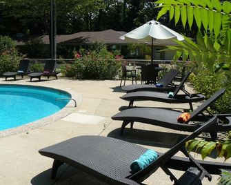 The Saugatuck Retro Resort Motel - Saugatuck - Pool