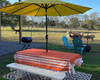 The Alpaca Campa - Minutes to Nashville - Gallatin