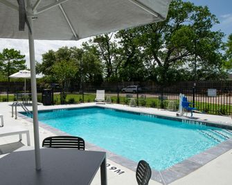 Spark by Hilton Dallas Medical District Love Field - Dallas - Pool