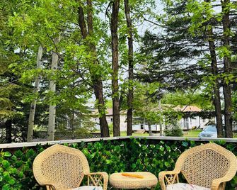 Short Drive to the Beach/Fishing/Treed Yard/Year Round Cottage/Family Kitchen - Winnipeg Beach - Patio