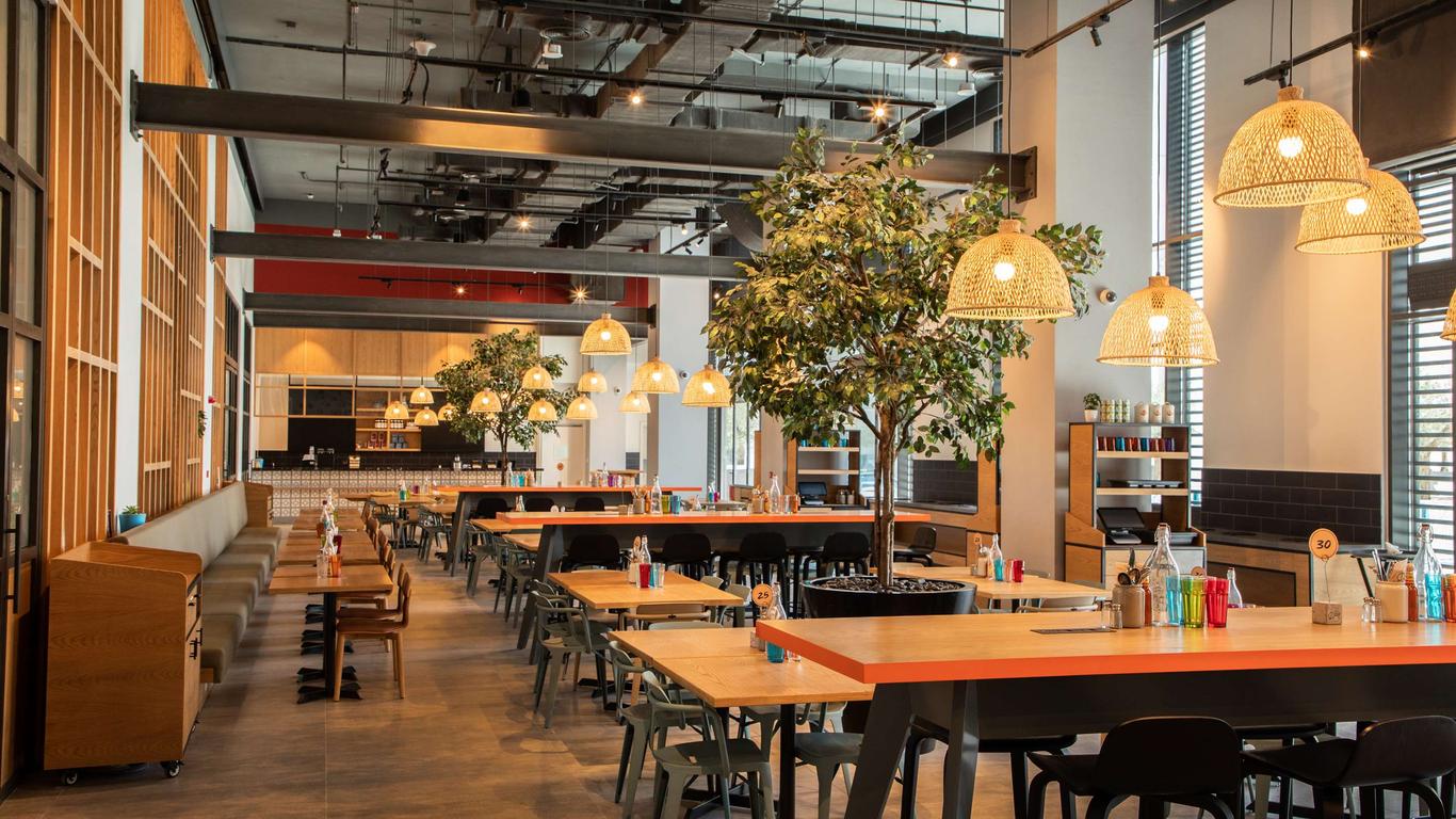 روف آت ذا بارك