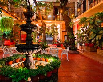 Hotel Posada de Roger - Puerto Vallarta - Patio