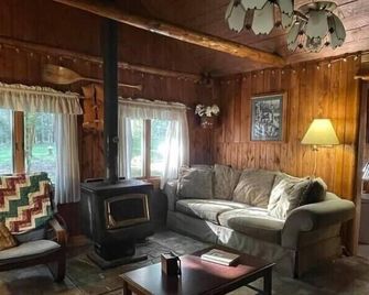 Rustic Up North Cabin Minutes From The Au Sable River - Mio - Living room