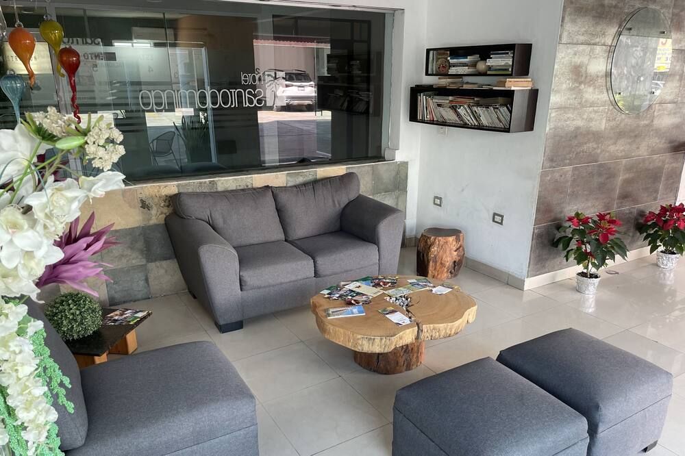 Hotel Santo Domingo Express - ויארמוסה - שירותי מקום האירוח