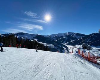 Cosy studio with a balcony - Dienten am Hochkonig