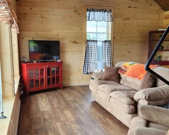 Private Mountain View Cabin in Aroostook on Mars Hill Mountain - Mars Hill - Living room