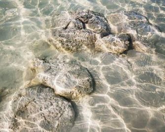 Hostalito Lahar - Bacalar