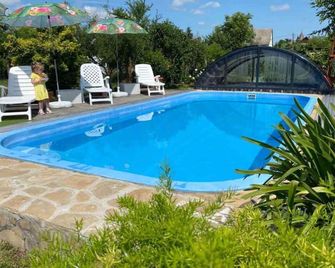 Holiday home with pool, air conditioning and WiFi - Gyenesdiás - Pool